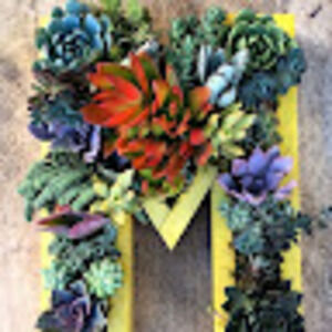 Meet your Posher, Meraki